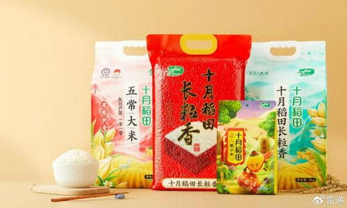 十月稻田上半年營收26億 同比增17.7 期內(nèi)利潤1.26億