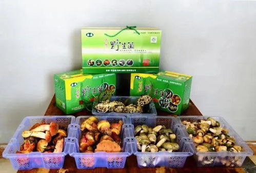 特色農(nóng)產(chǎn)品展