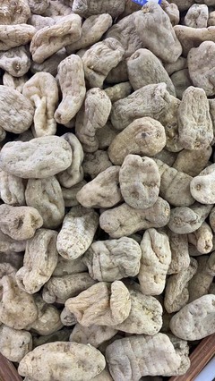 云南小草壩天麻